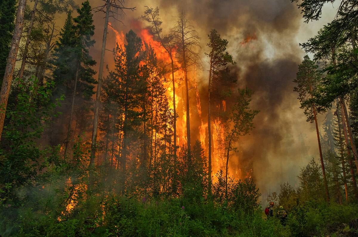 , Капустин Игорь