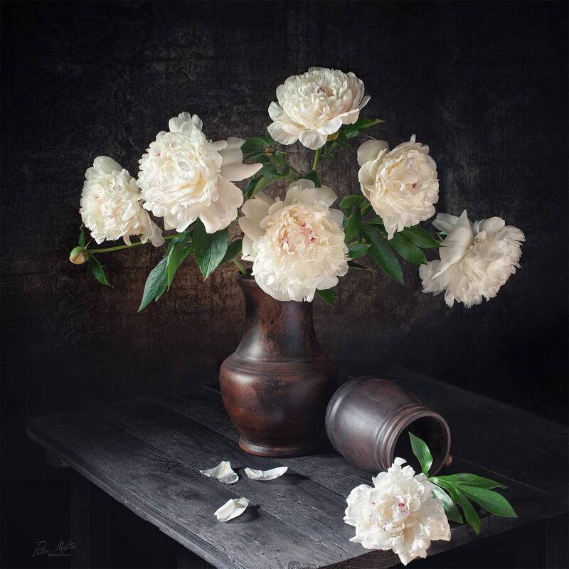 /// фото превью