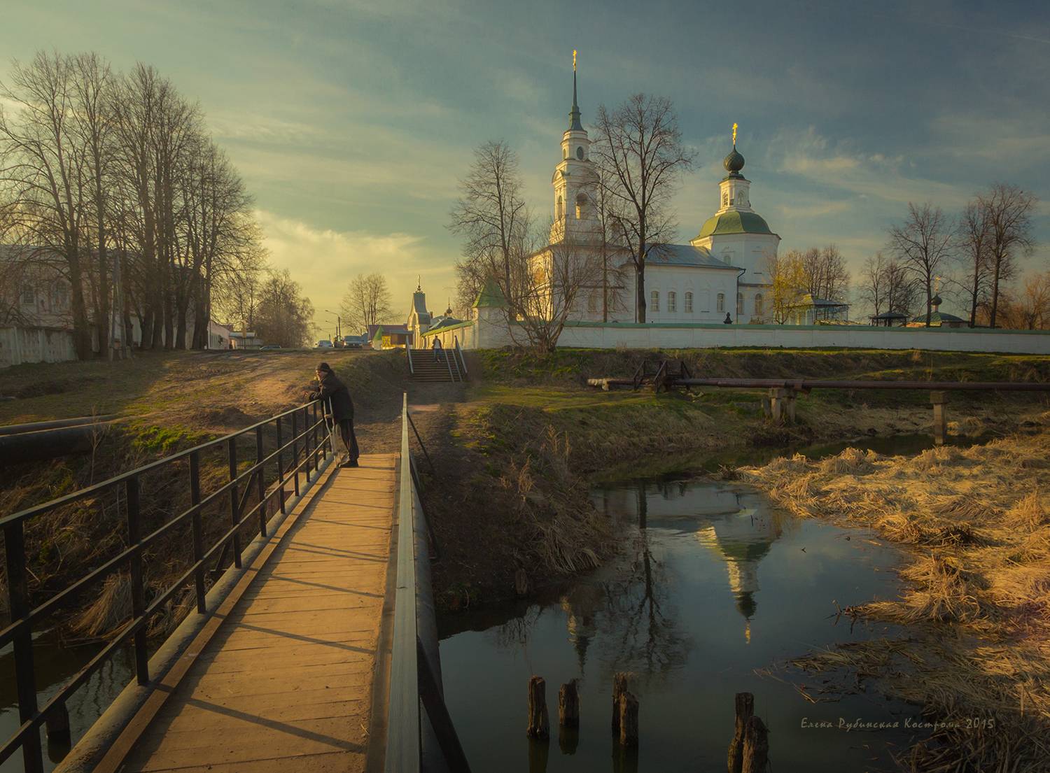 кострома, Елена Рубинская