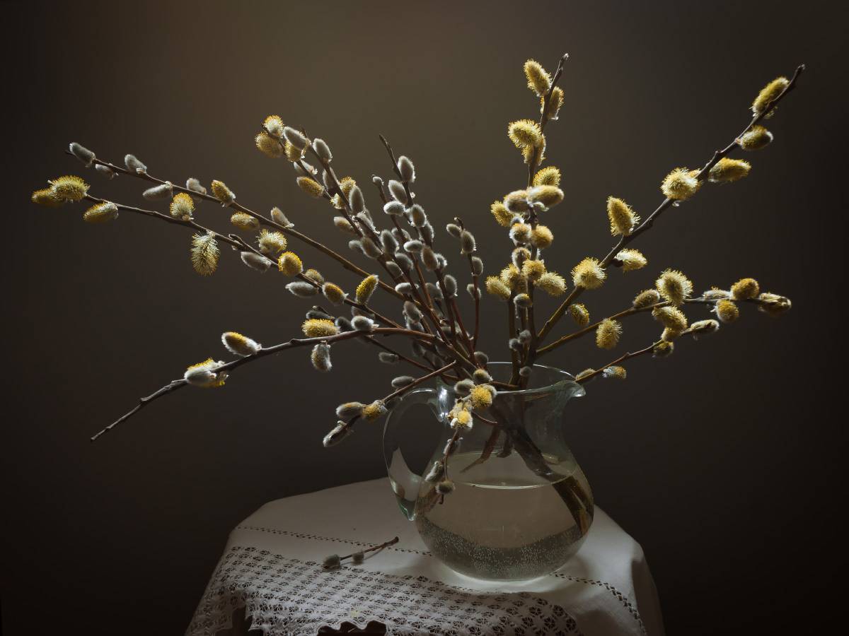 верба, весна, Колеснева Елена