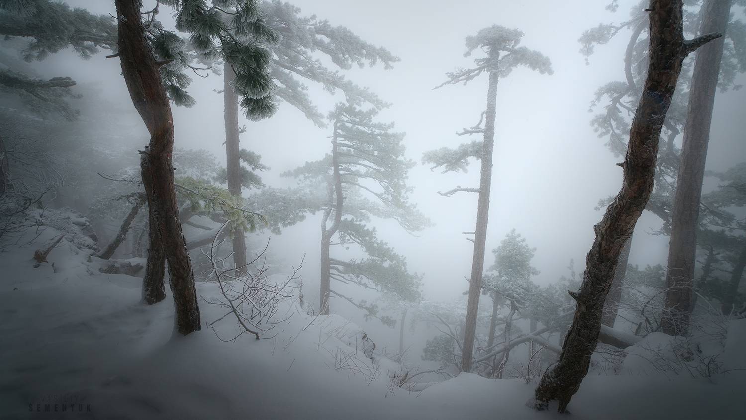 крым, весна, могаби, ай-петри, снег, горы, лес, туман, Семенюк Василий
