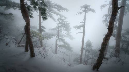 Весна на Могаби