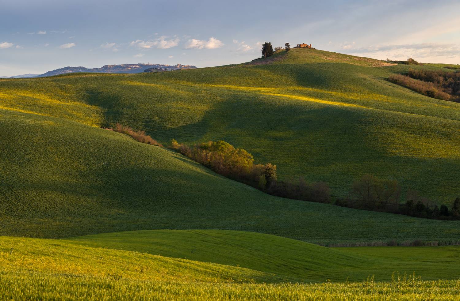 , Алекс Римский