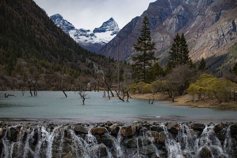 горы, китай, мертвыйлес Мертвый лес в долине Шуанцяо, Сычуань, Китай фото превью