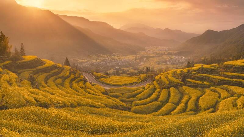 Золотая долина фото превью