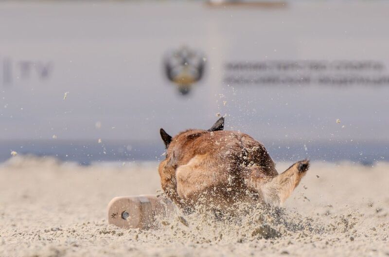 фото превью