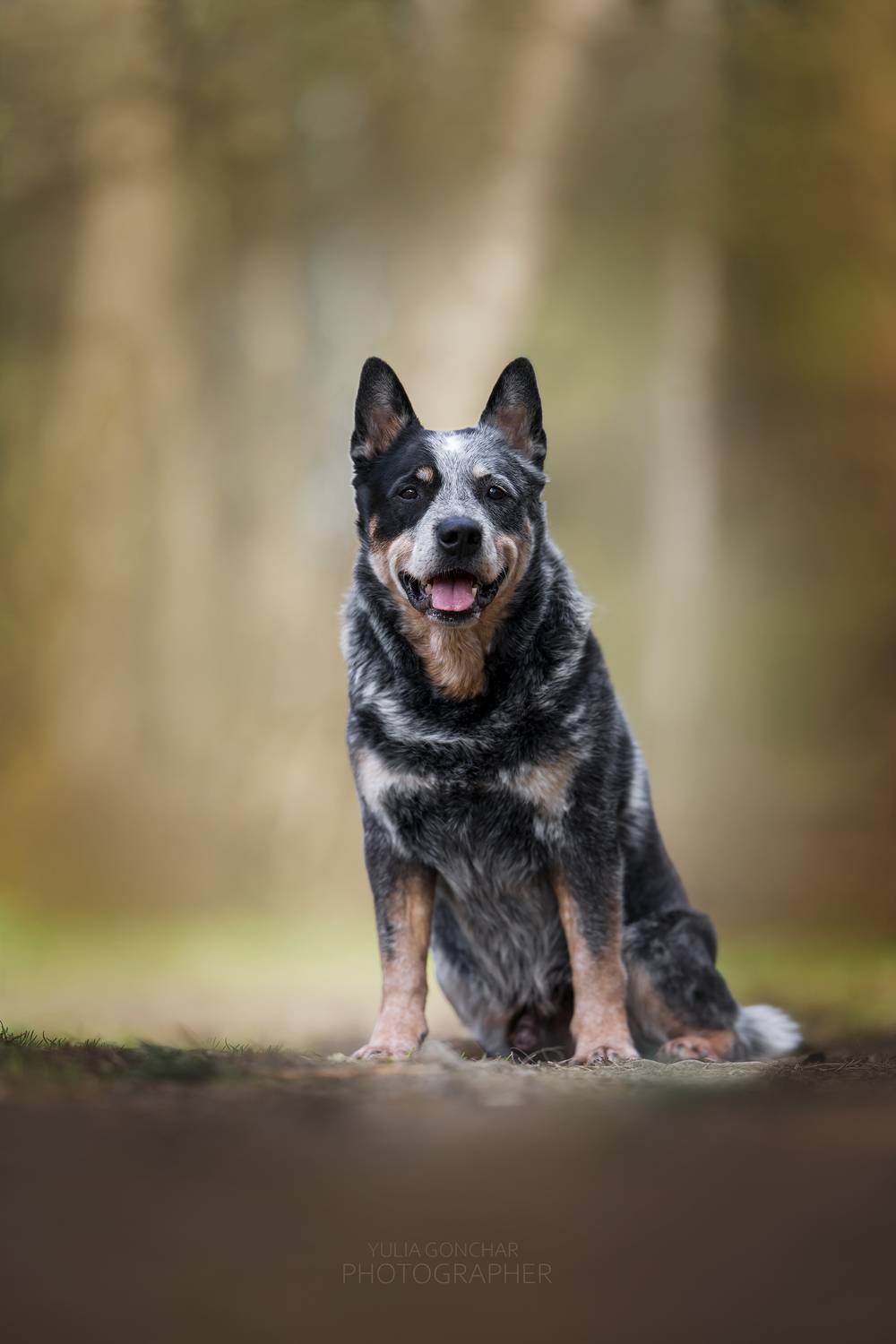 , Гончар Юлия