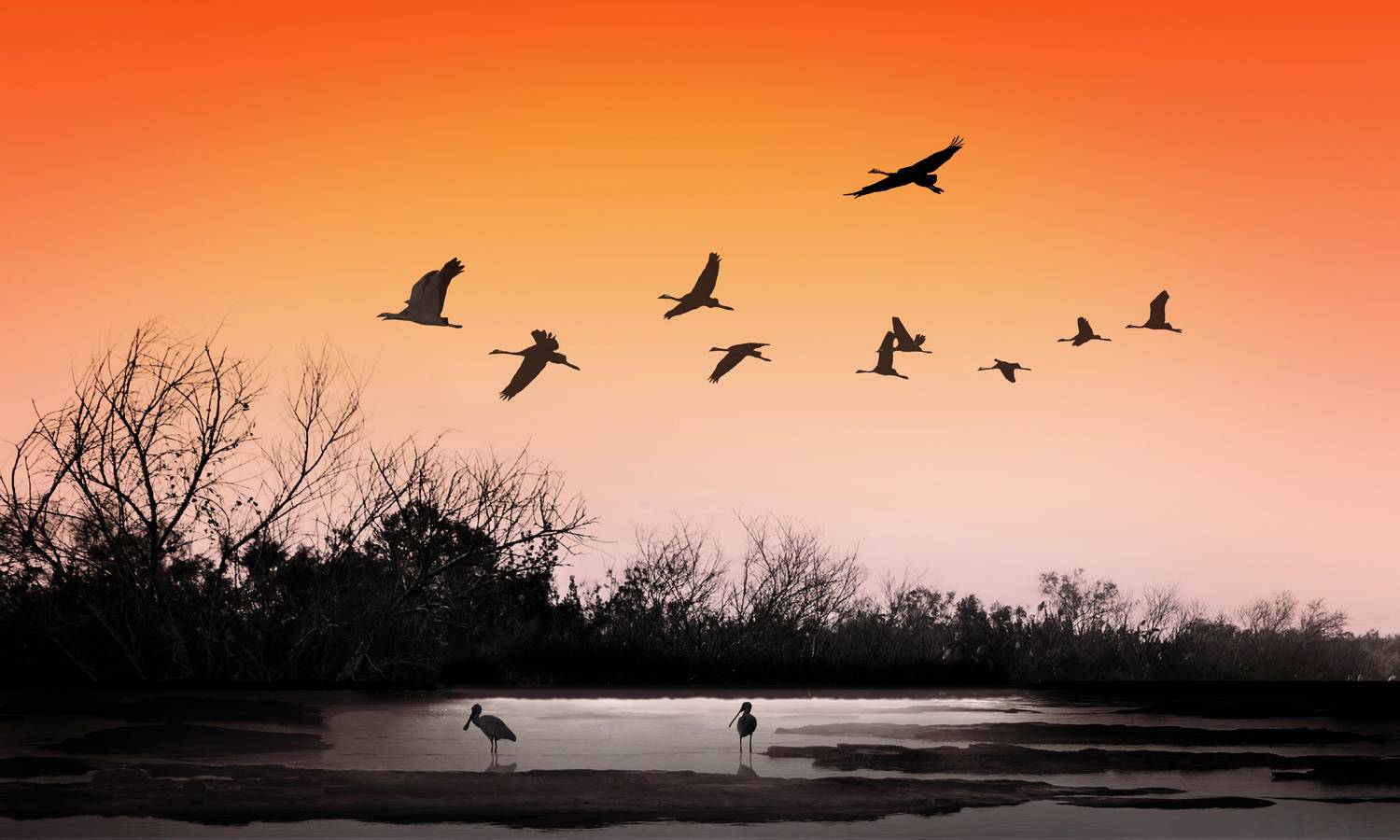 , Вадим Городницкий