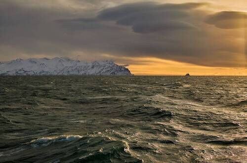 декабрьское утро