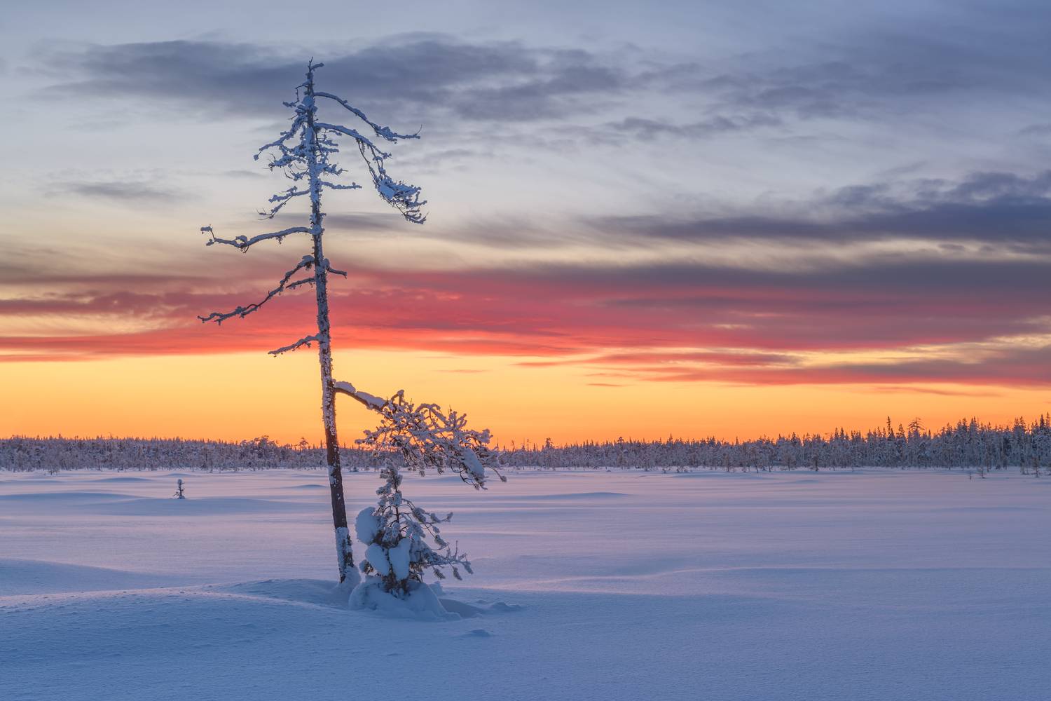 карелия, Евдокимов Максим