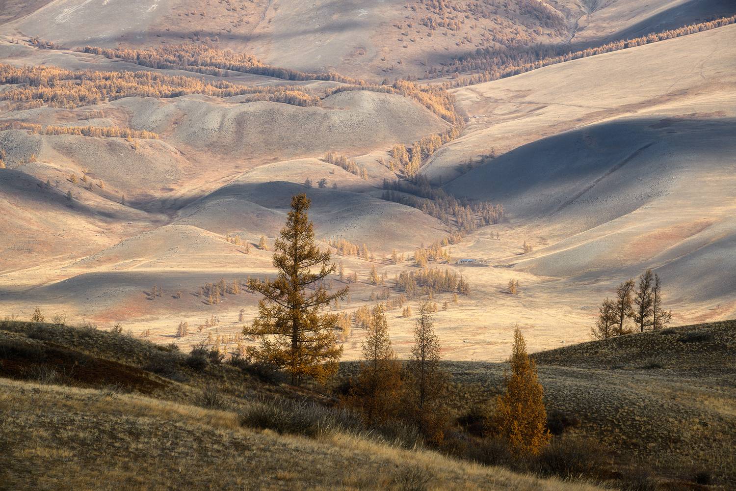 , Юлия Шустерова