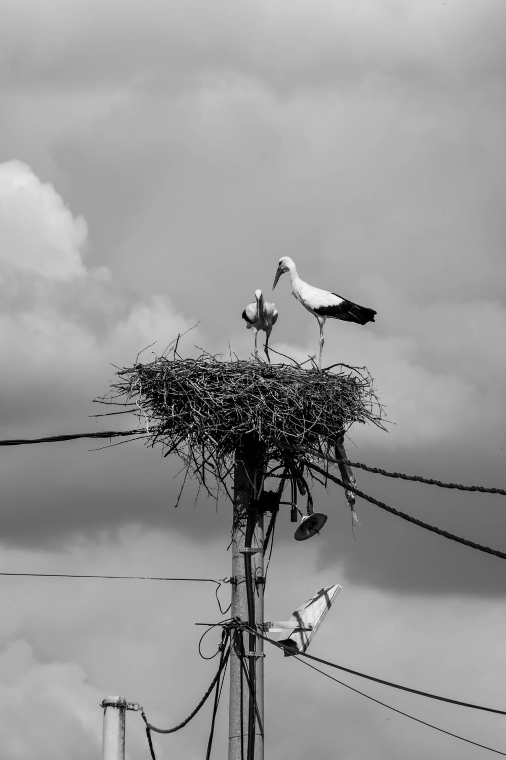 , Шилов Александр