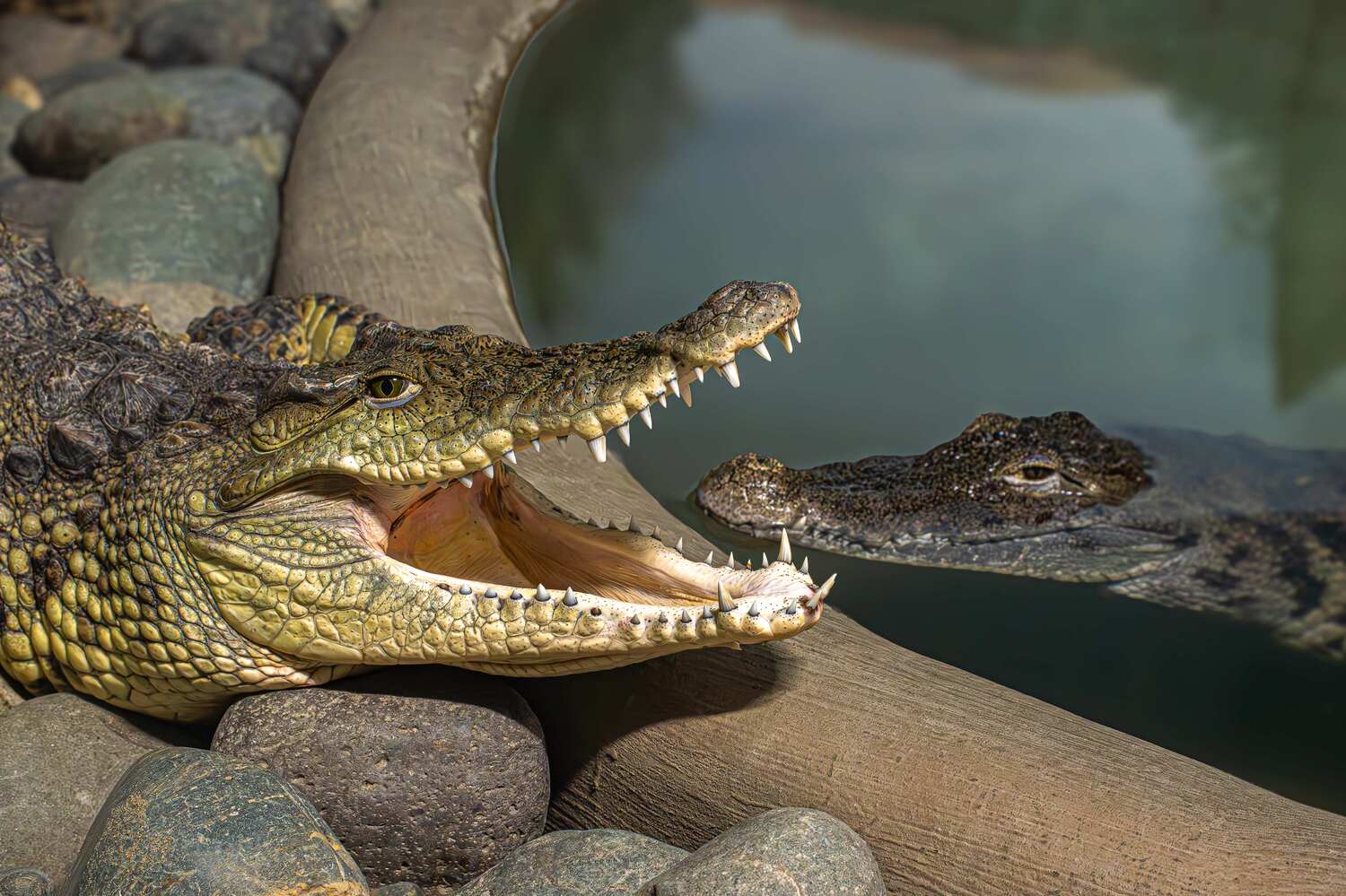 , Михаил Измайлов