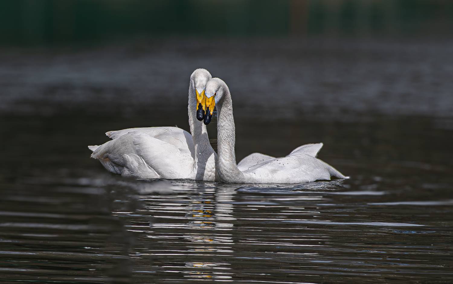 , Михаил Измайлов