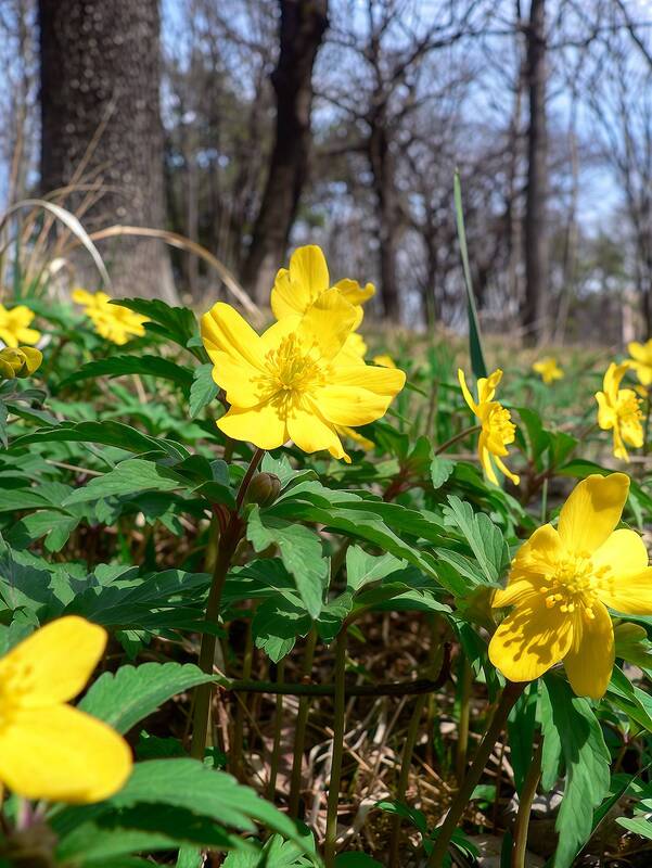 Солнечный денек фото превью