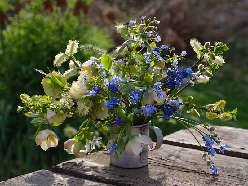 Весна фото превью