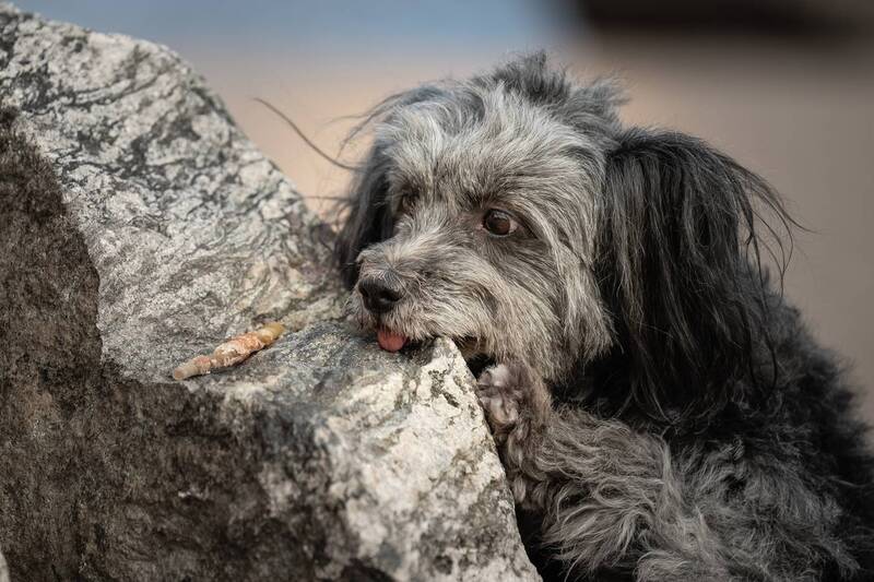 Лакомый кусочек) фото превью