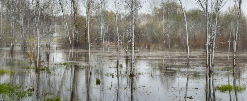 тула, баташевский сад Апрельское половодье, слегка припорошенное снежком фото превью