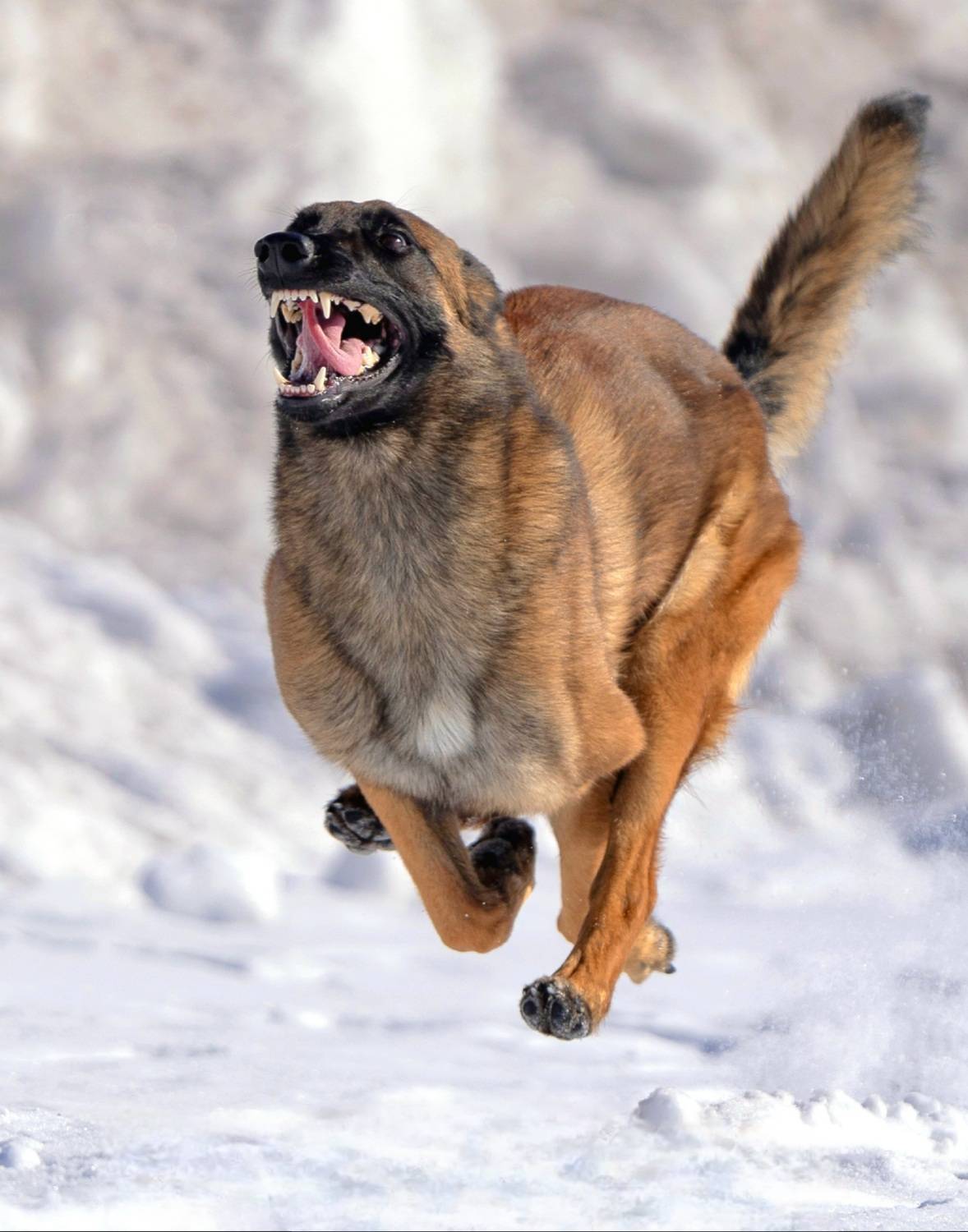 , Сергей Жиркевич