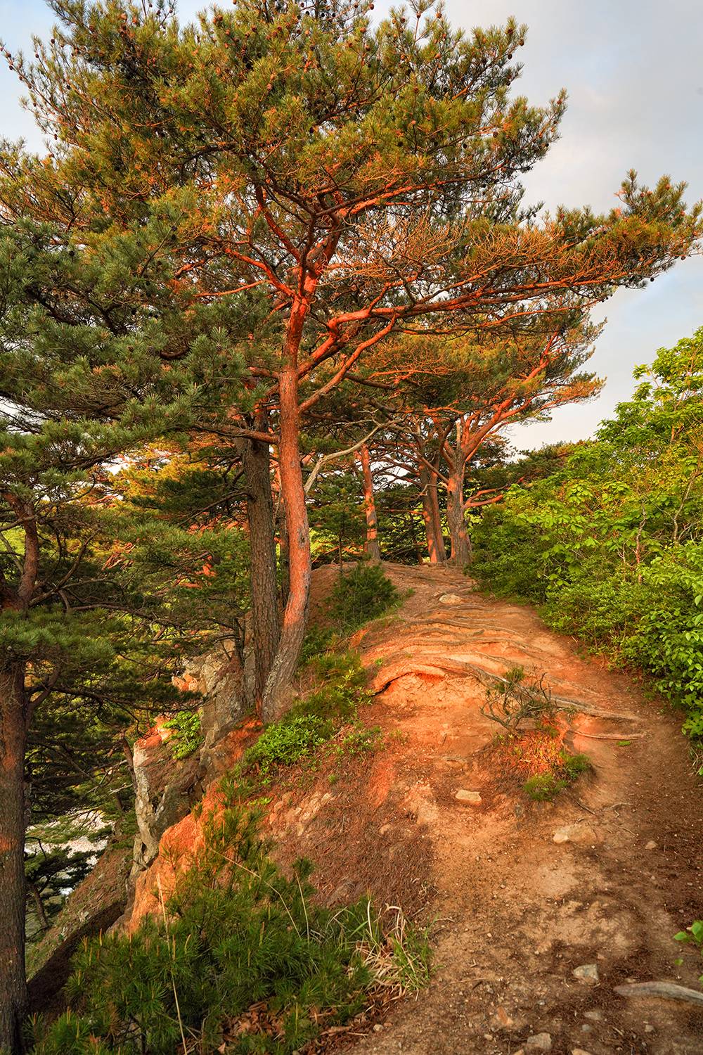 Россия, Приморье, рассвет, остров Томящегося сердца, Лариса Дука