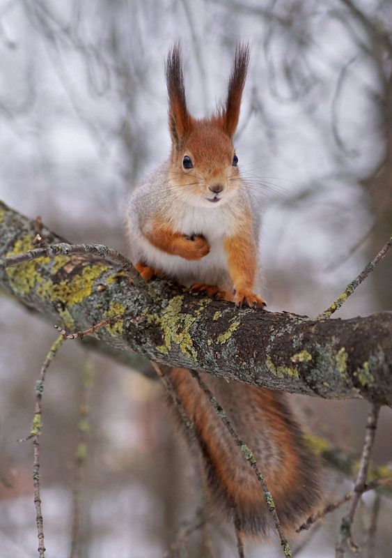 Милаха фото превью