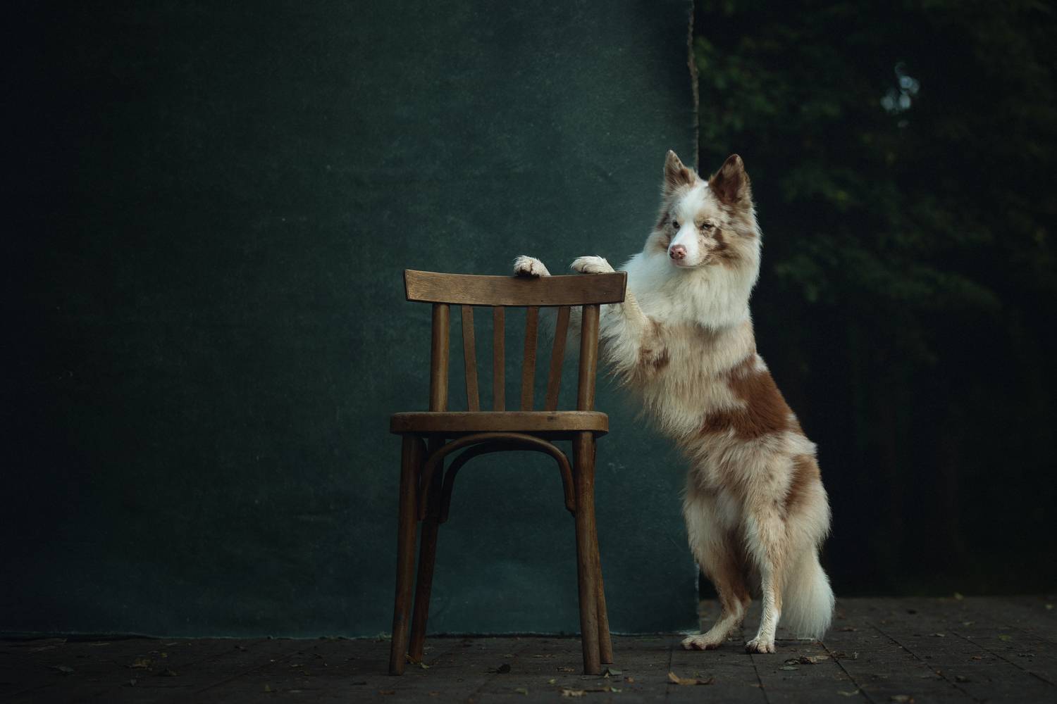 , Шерскова Мария