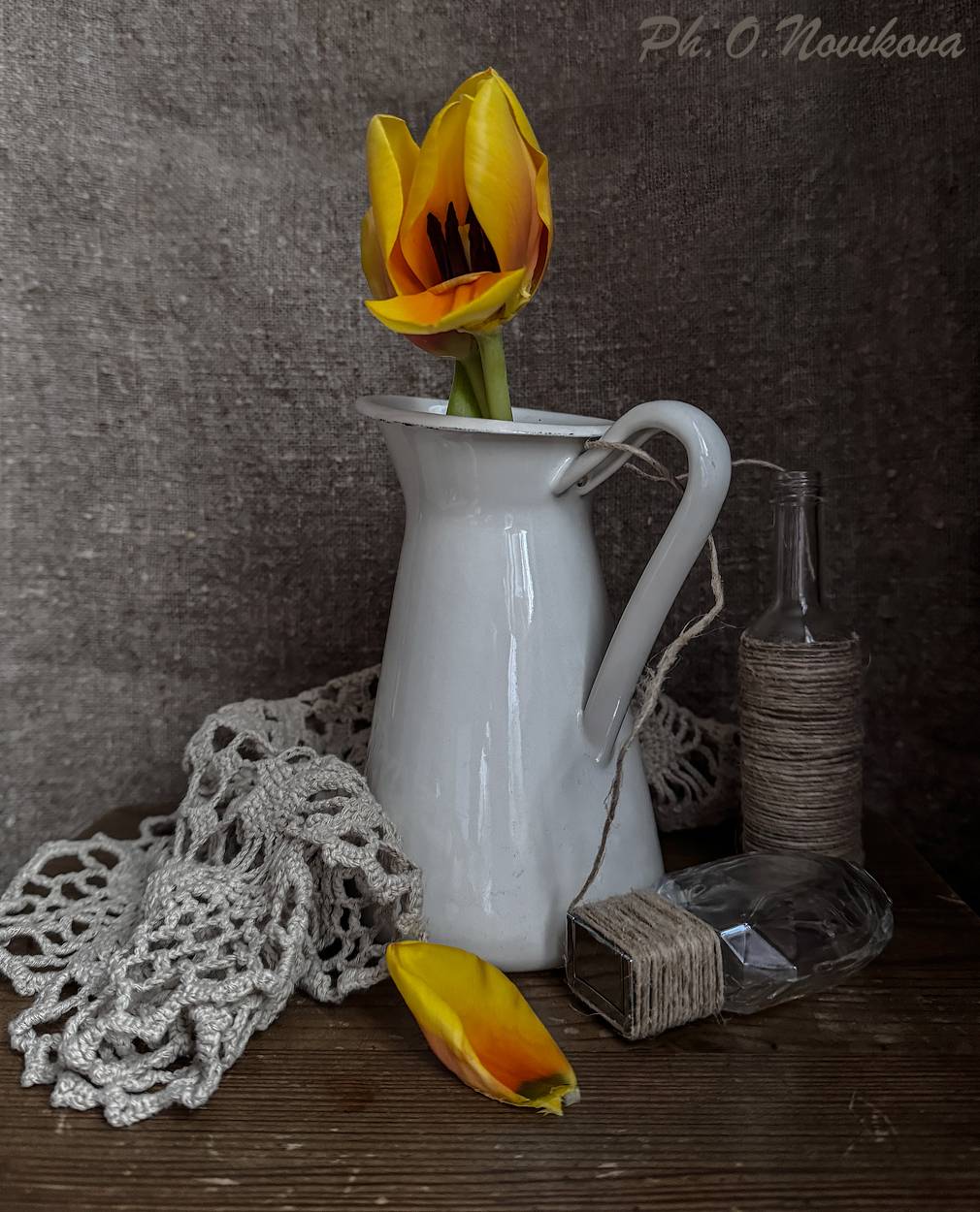 , Новикова Ольга