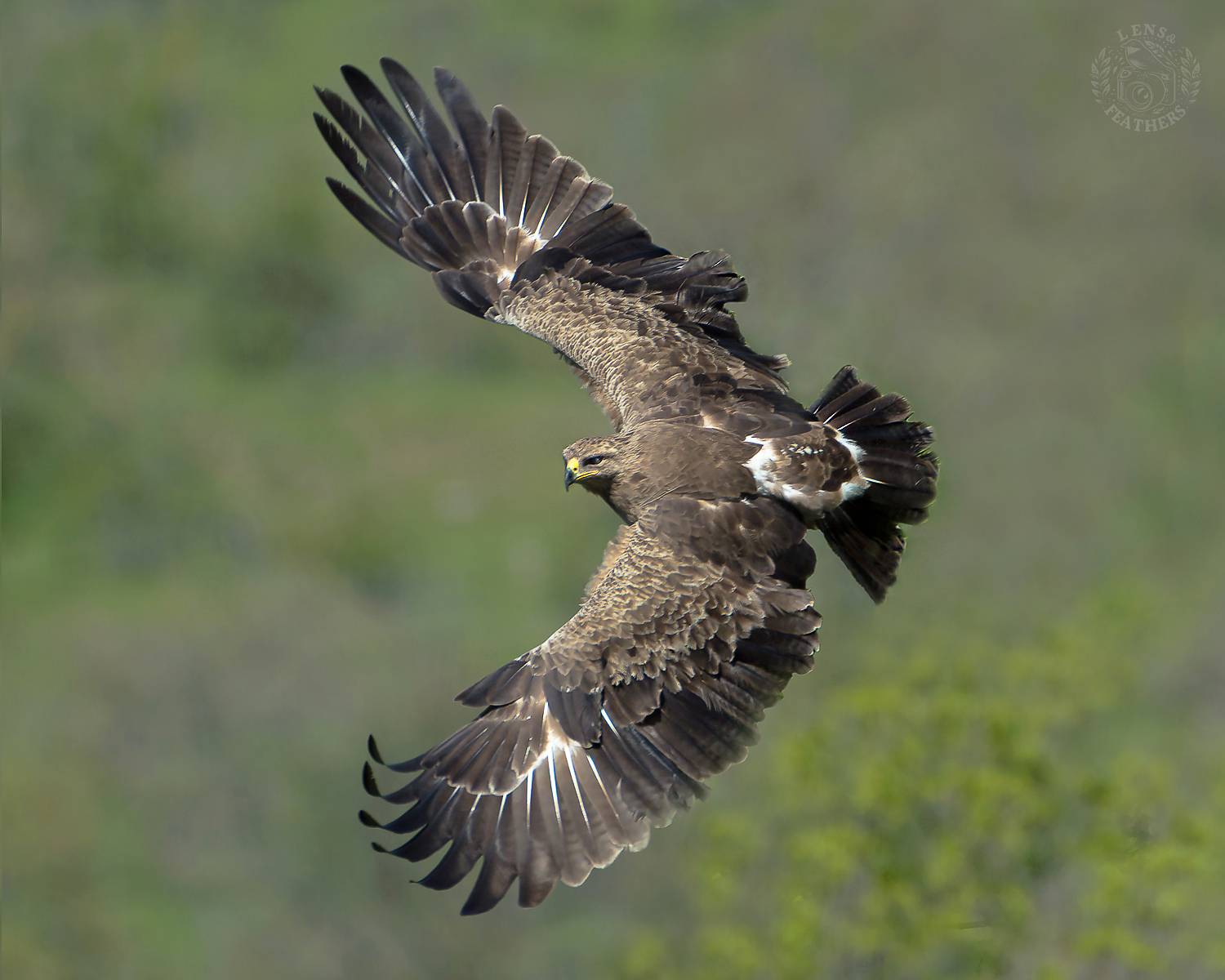 , Евгени Стефанов