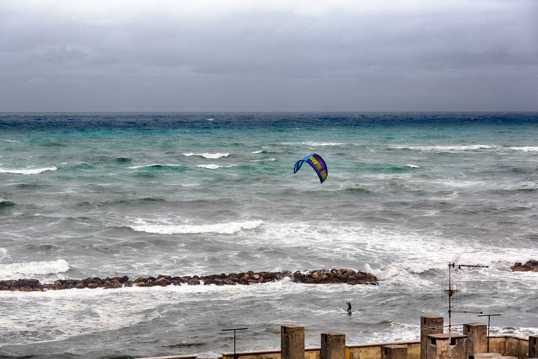 , Людмила Прокофьева