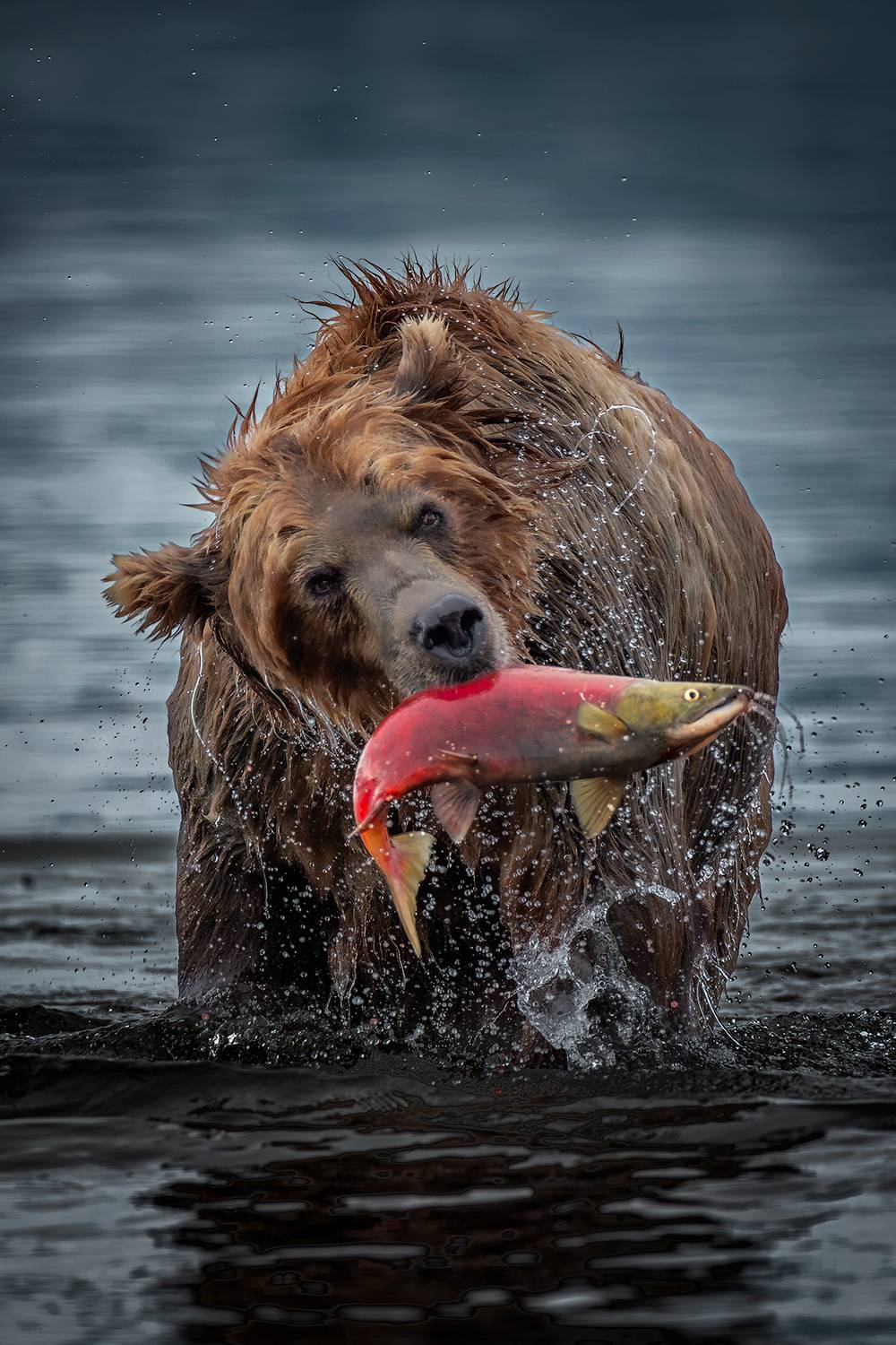 , Будьков Денис