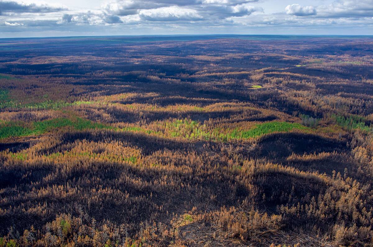 , Капустин Игорь