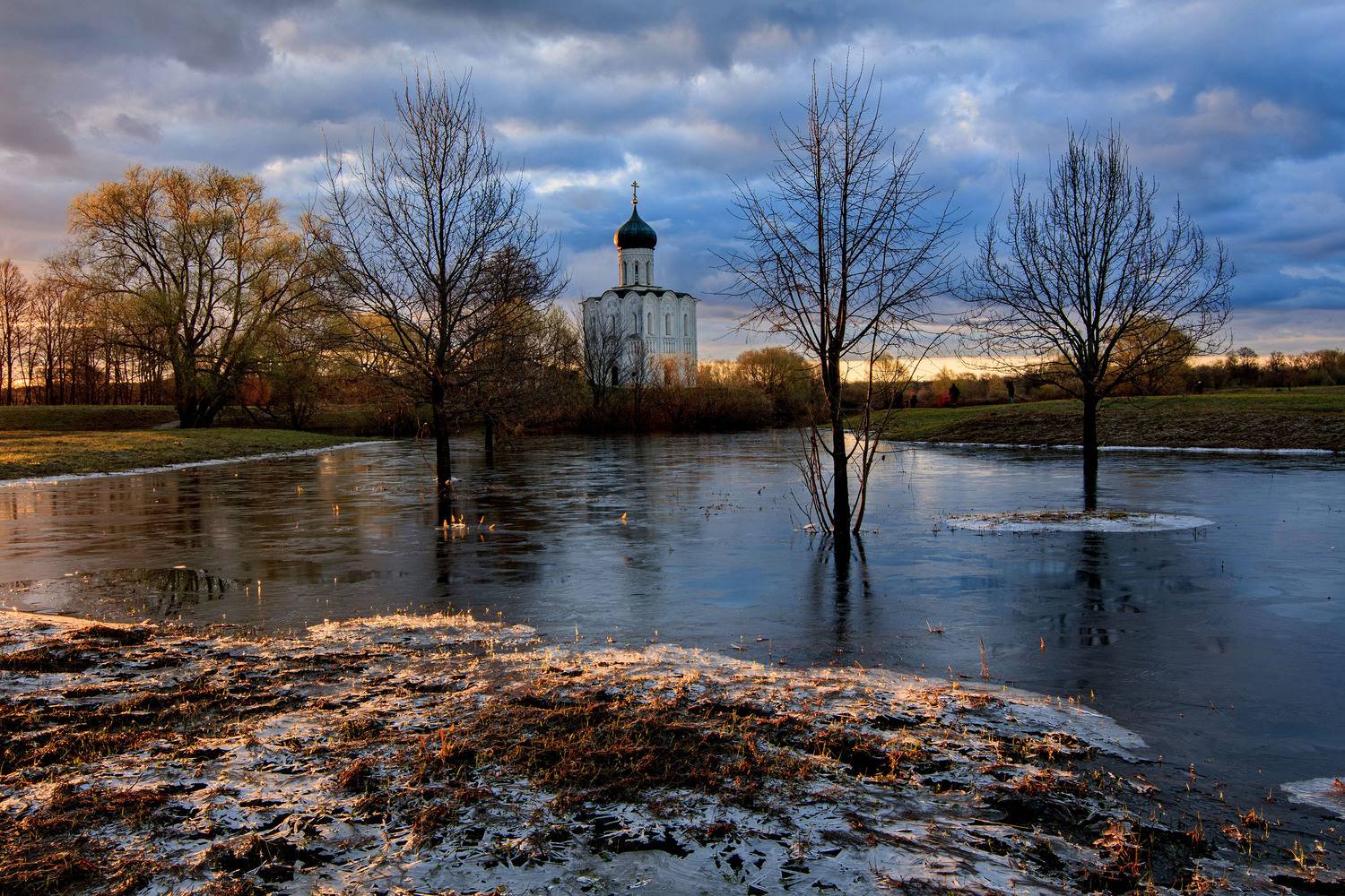 храм, покрова, на, нерли, Добролюбова Тамара