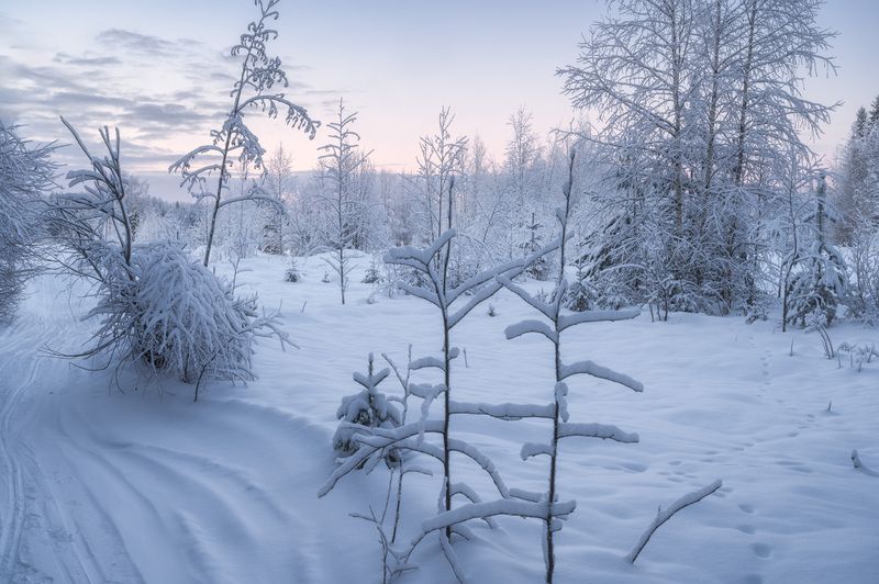 Следы фото превью