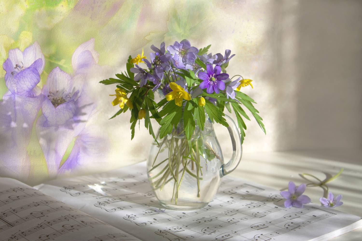 , Хохлова (Ермохина) Наталья