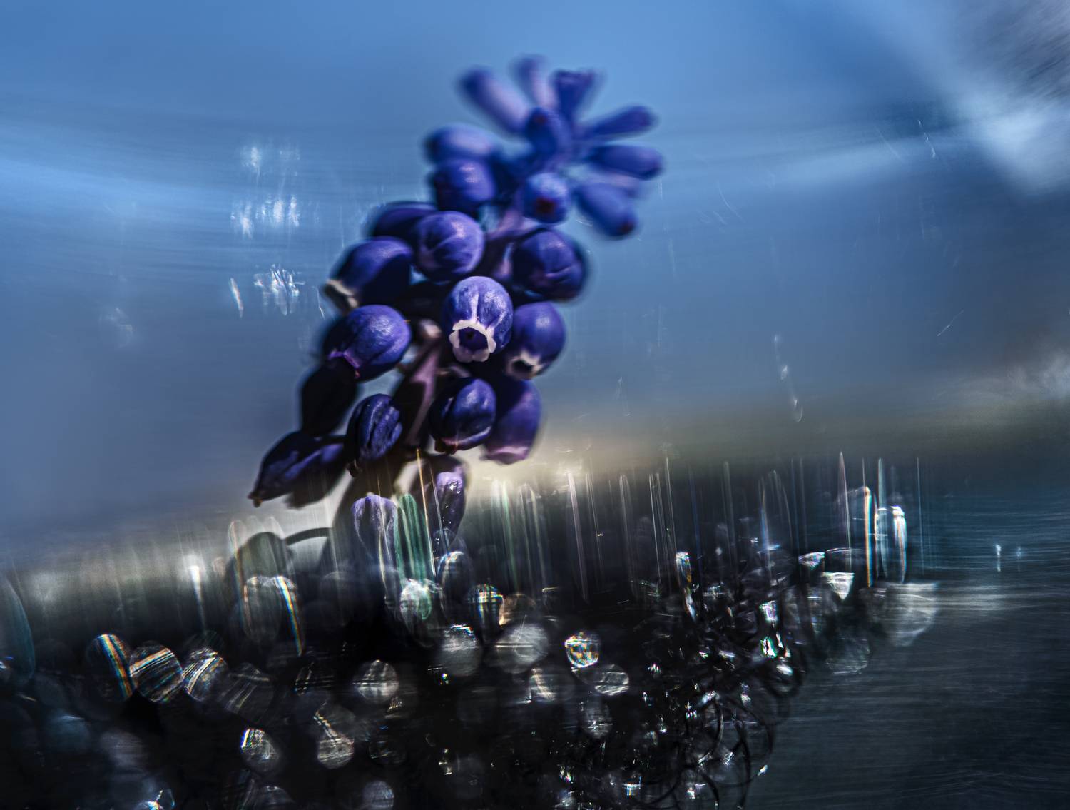 , Неля Рачкова