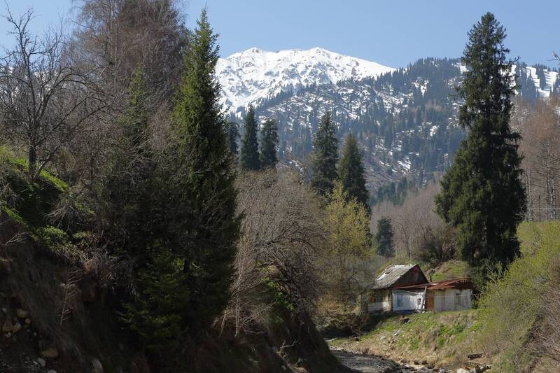 Весна в горах Заилийских фото превью