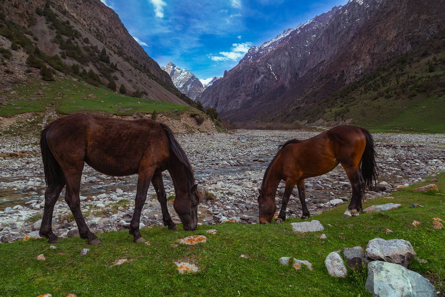 кыргызстан, ущелье белогорка, Элина Магалимова