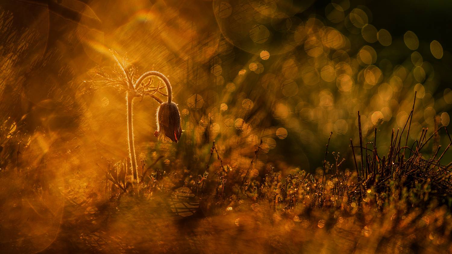 , Рябов Игорь