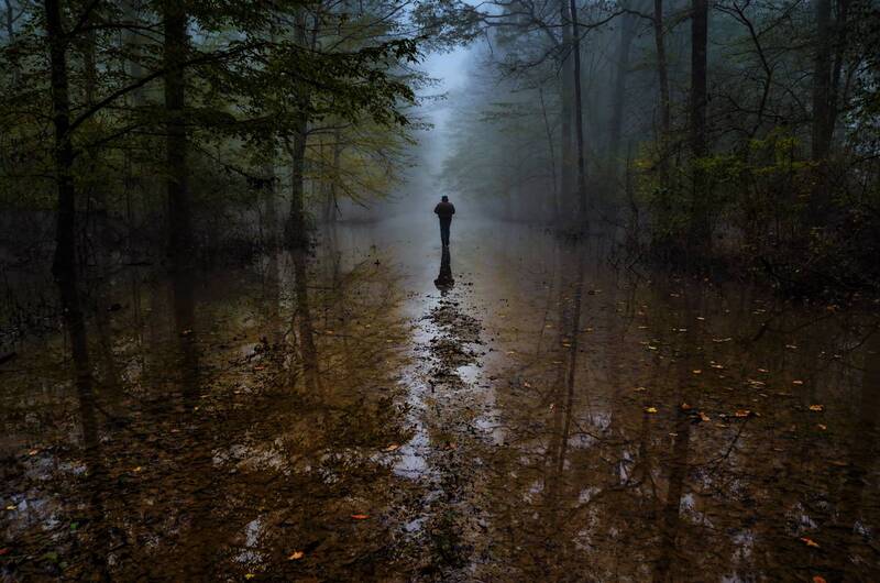 landscape, forest, croatia, reflection, wet, trees, mud, earth, soil, sky, water, fog, man, walking, walk, landscapes, woods, forrest, foggy, mist, haze, person, people show technical details In pursuit of the fog фото превью