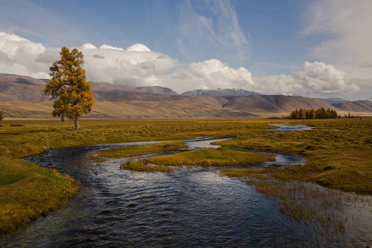 , Мурзинов Виктор