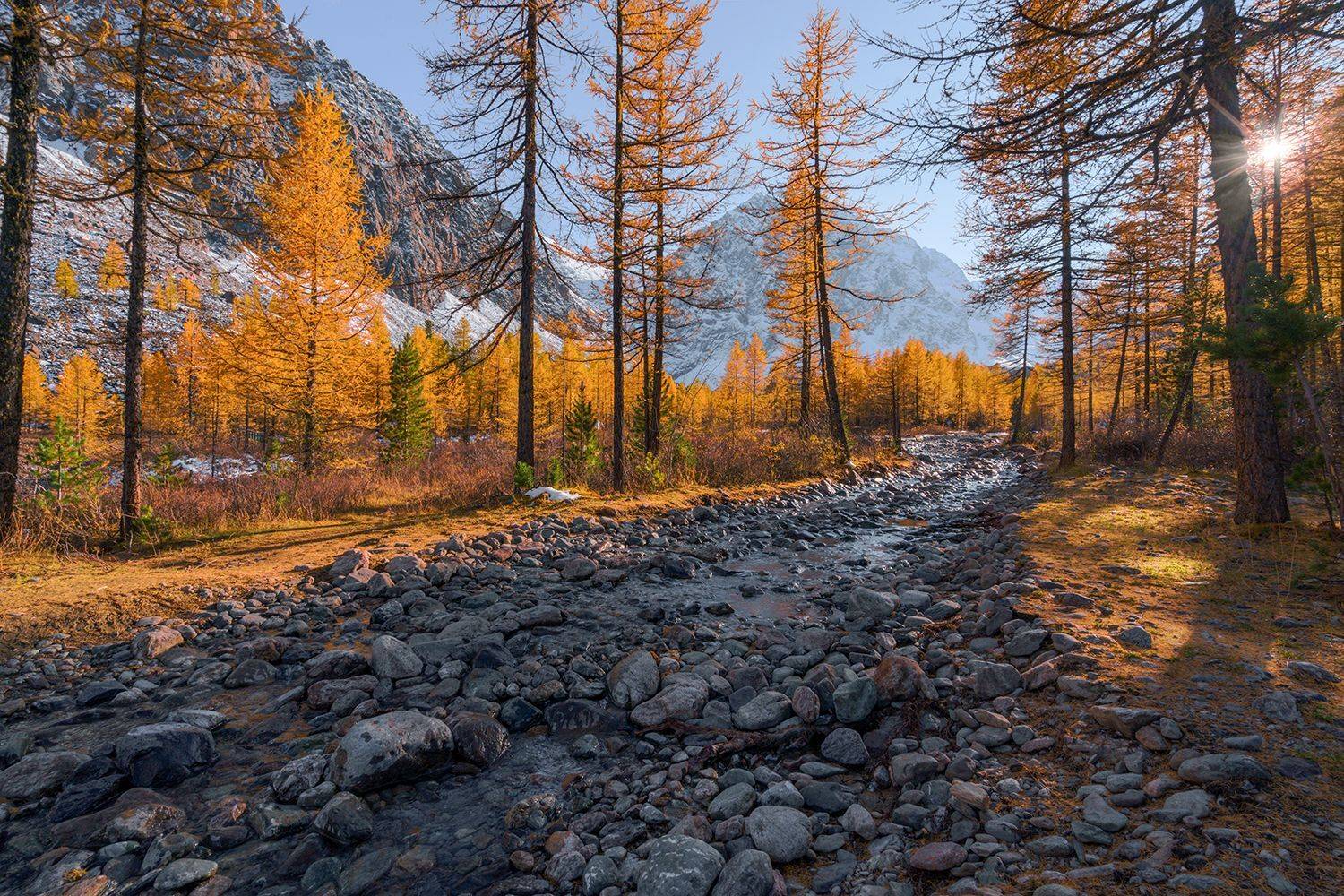 Россия, Алтай, Актру, дорога, Лариса Дука