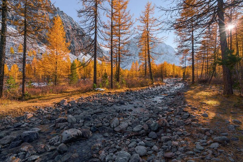 Россия, Алтай, Актру, дорога Дорога на Актру фото превью