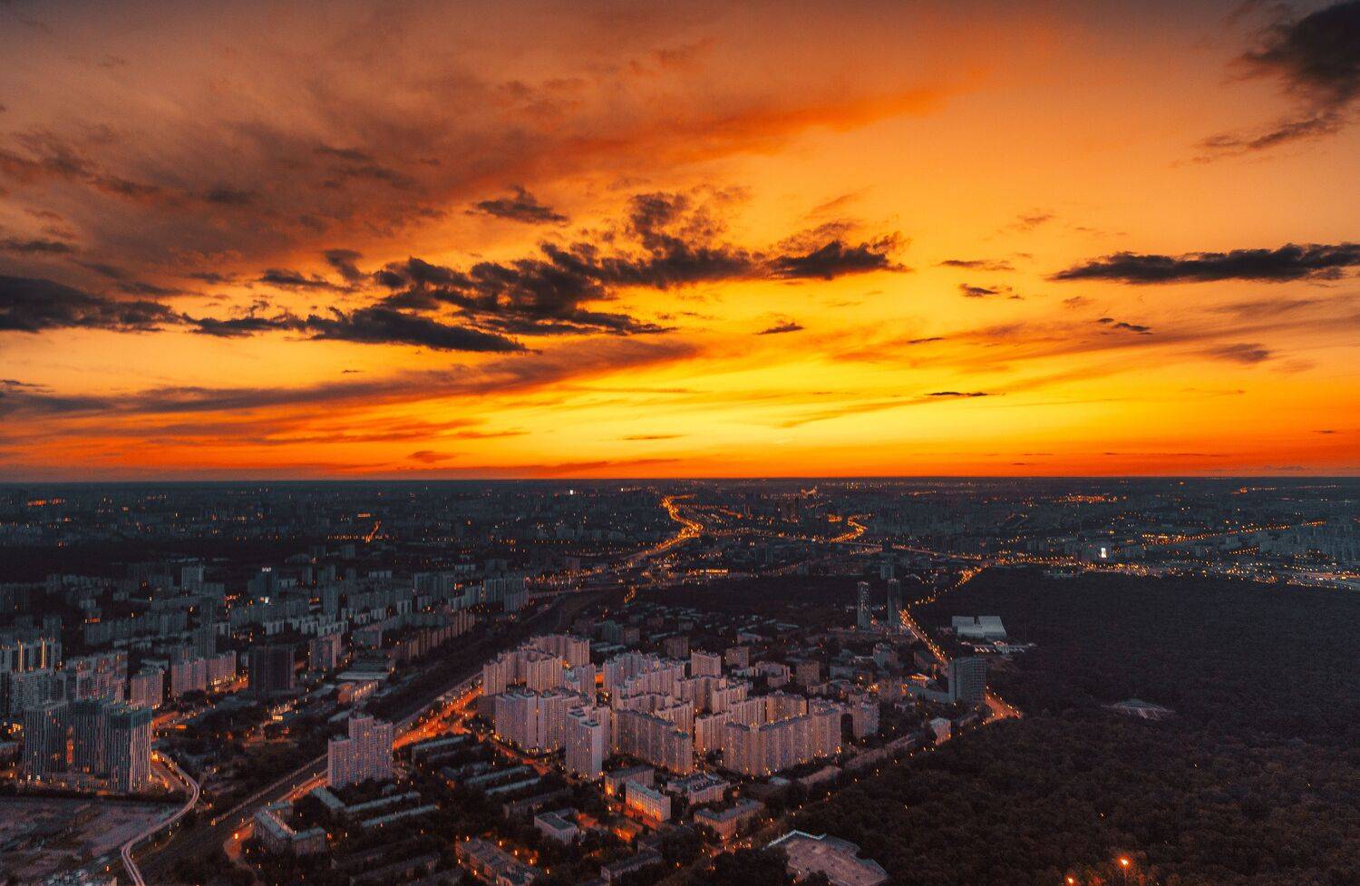 , Трепольский Дмитрий