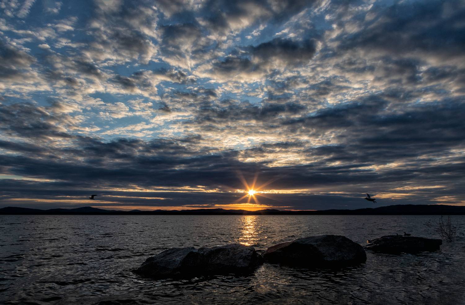 , Ушаков Валерий