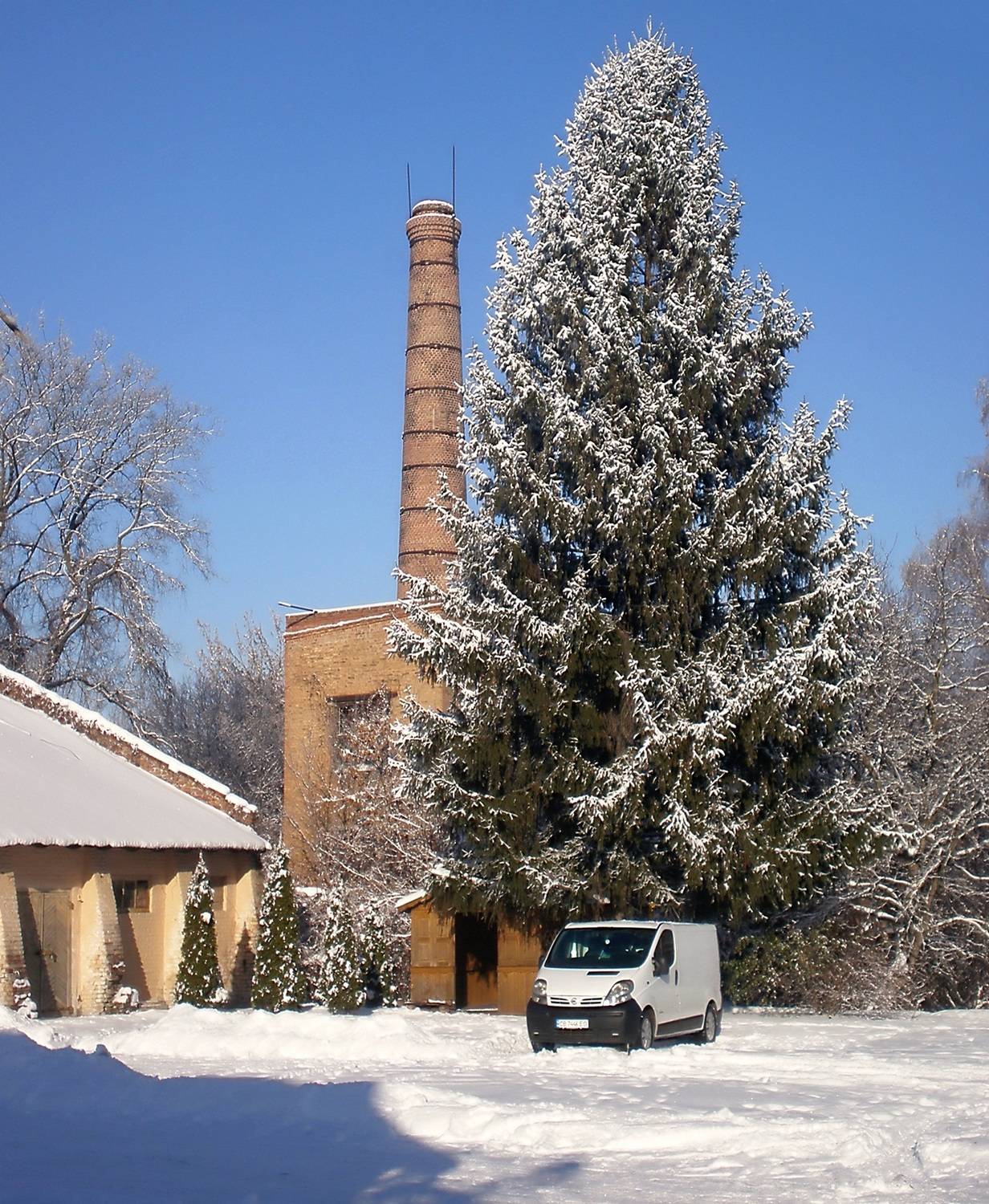 , Савоцкий Роман