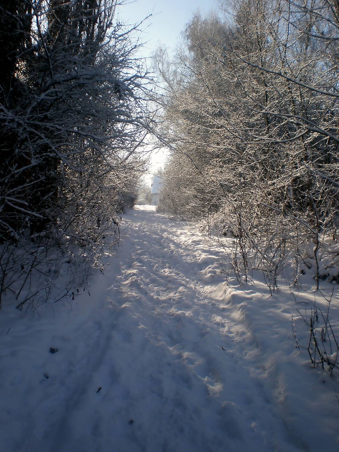 , Савоцкий Роман