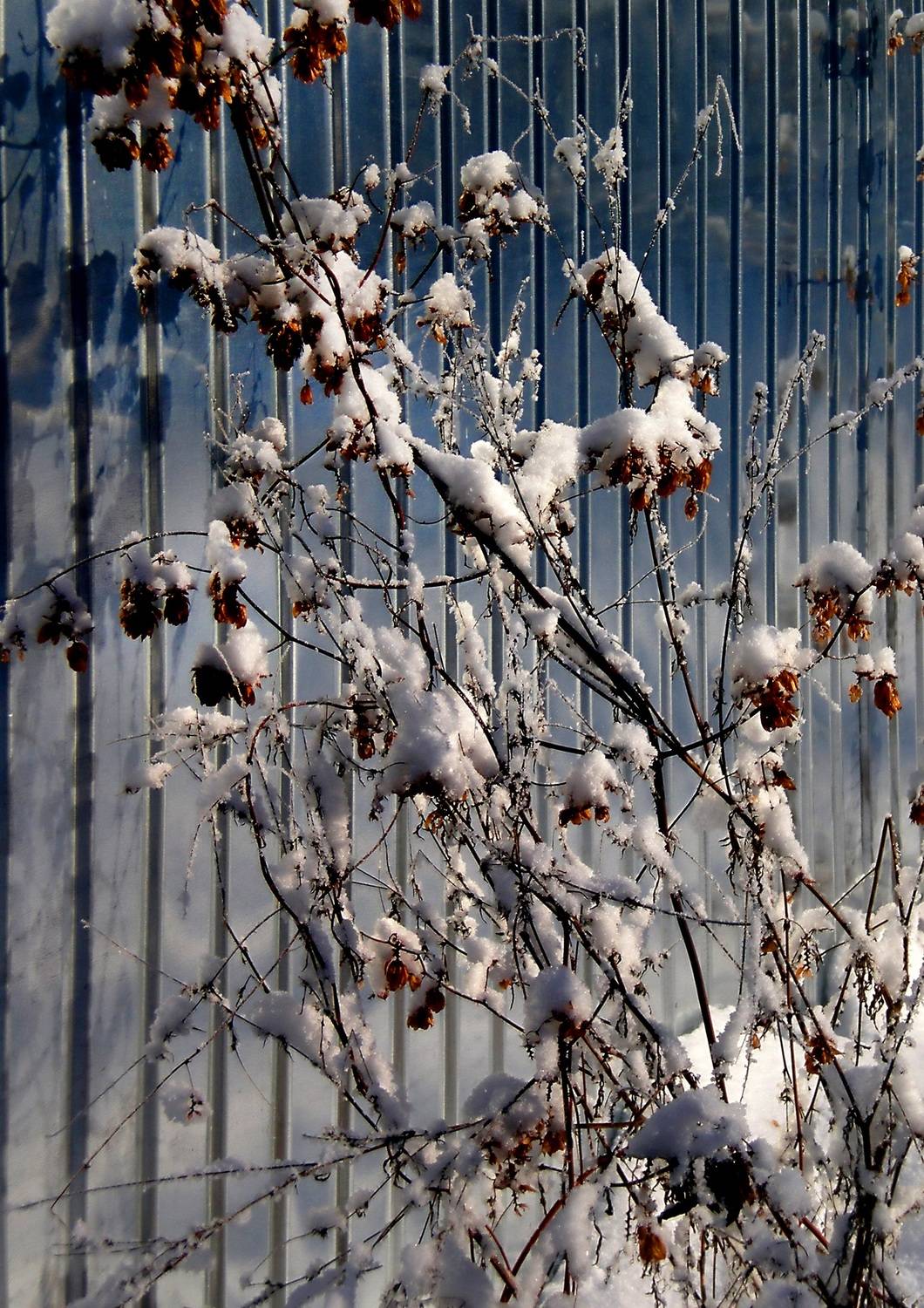 , Савоцкий Роман