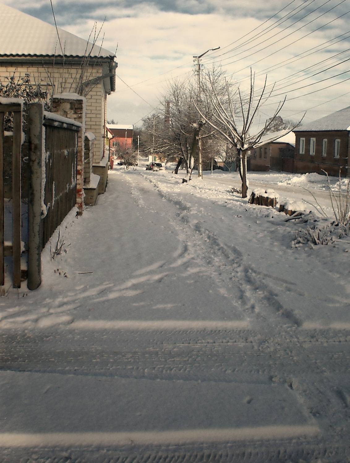 , Савоцкий Роман