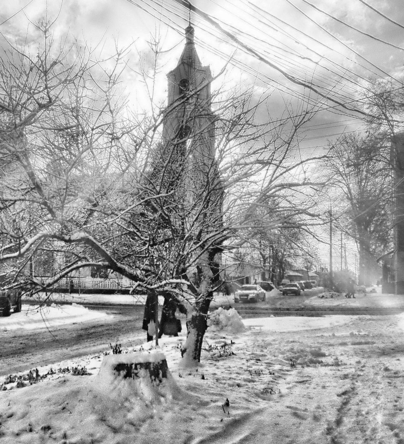 , Савоцкий Роман