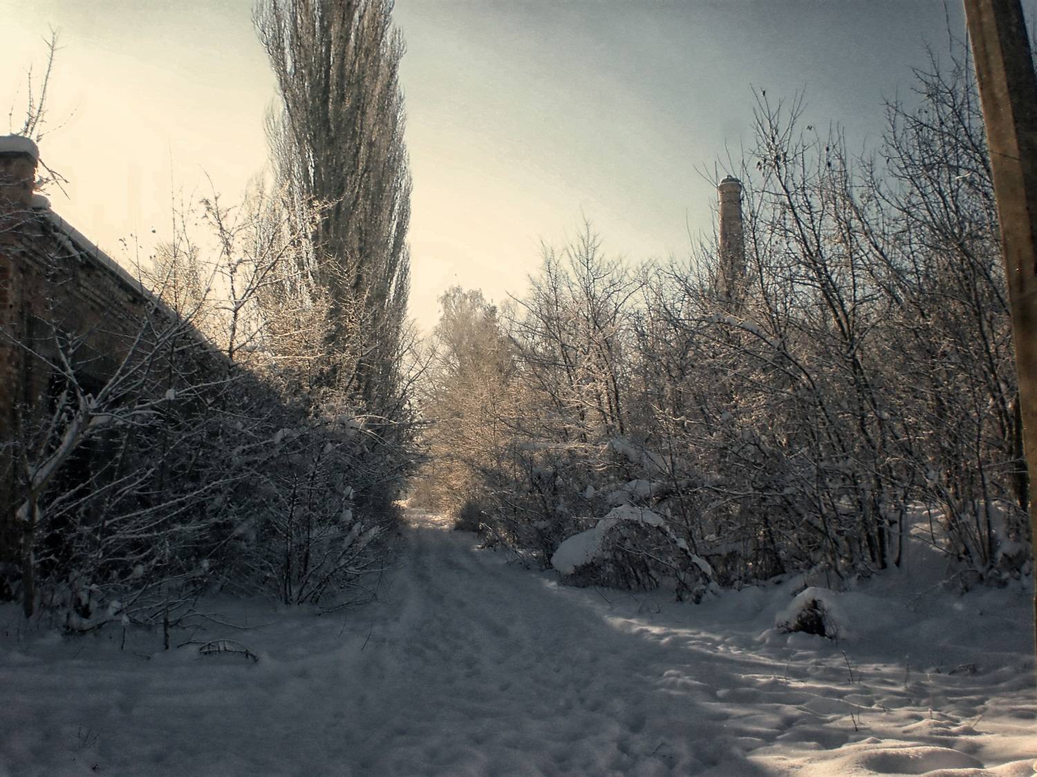 , Савоцкий Роман